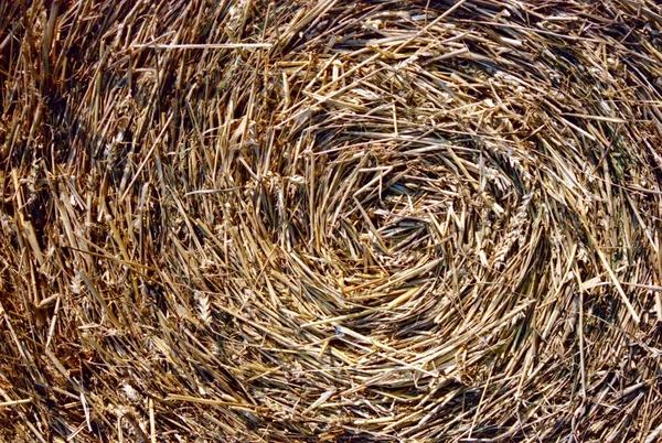 Close-up of straw bales — Stock Photo, Image