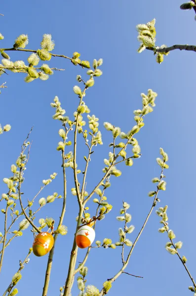 Primavera Páscoa sinal ovo pendurado buceta salgueiro ramo — Fotografia de Stock