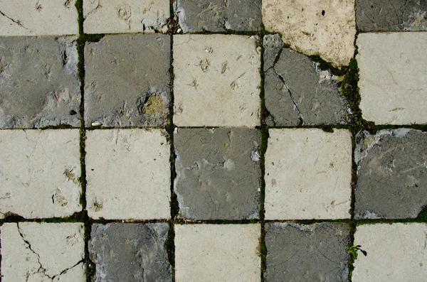 Background of white brick tiled old pavement moss — Stock Photo, Image