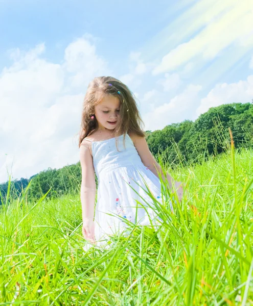Маленькая девочка на лугу — стоковое фото