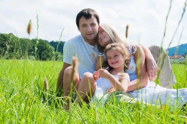 Playful family on the meadow — Stock Photo, Image