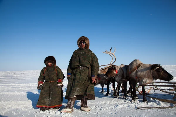 Familjen av reinder renskötarna på vintern — Stockfoto