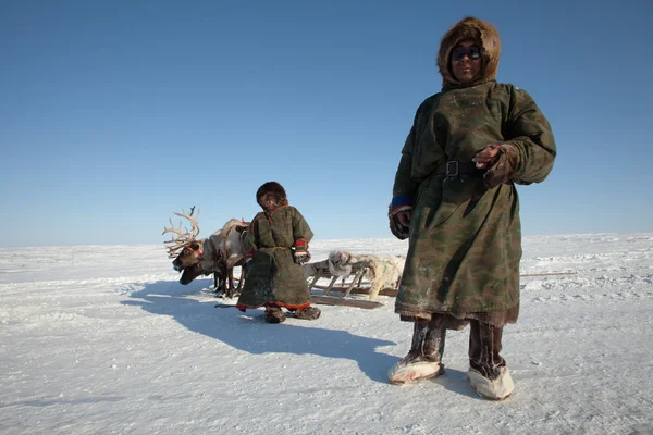 El hombre Nenets nad su hijo cerca de ciervos —  Fotos de Stock