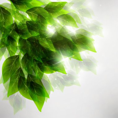 Green leaves clipart