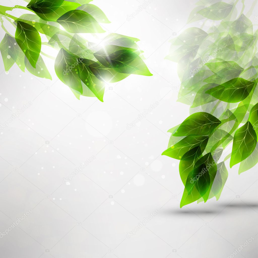 Beautiful Green Leaf Background Vector Illustration Vector Download