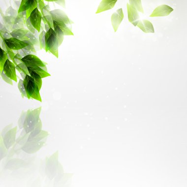 Green leaves clipart