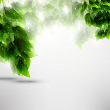 Green leaves clipart