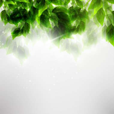 Beautiful green leaves clipart