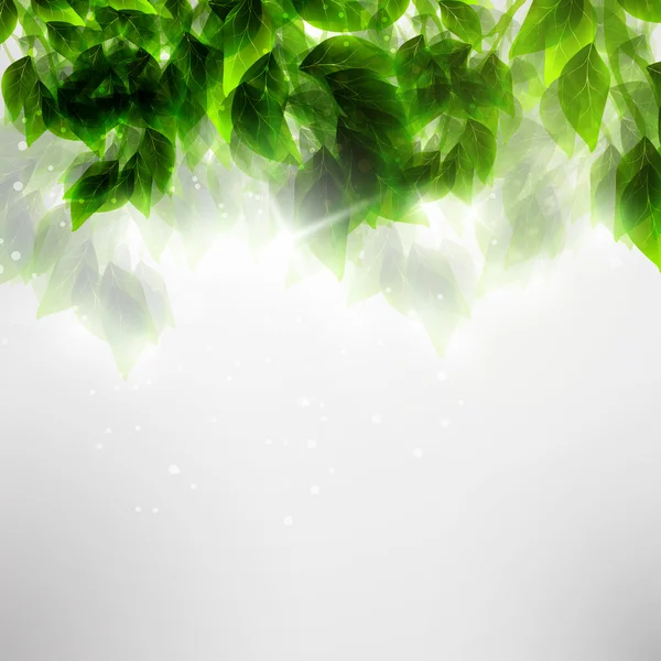 Vackra gröna blad — Stock vektor