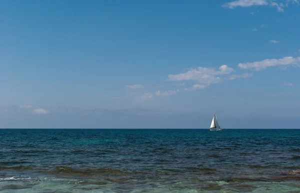 Barca a vela bianca all'orizzonte — Foto Stock
