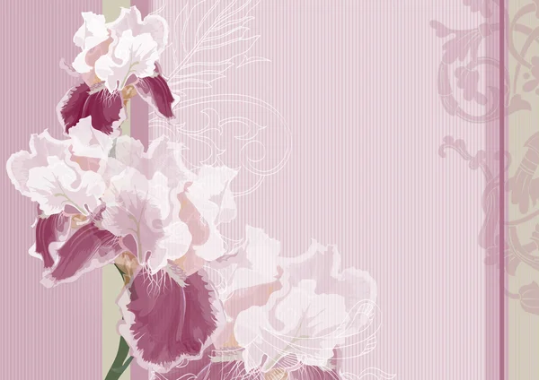 Iris sobre un fondo rosa — Vector de stock