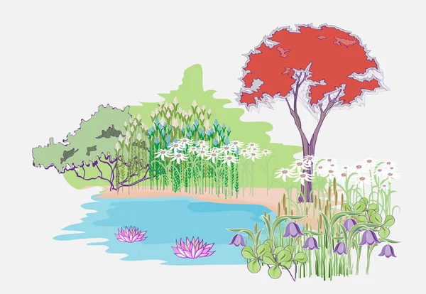 Garden with maple Stock Illustration