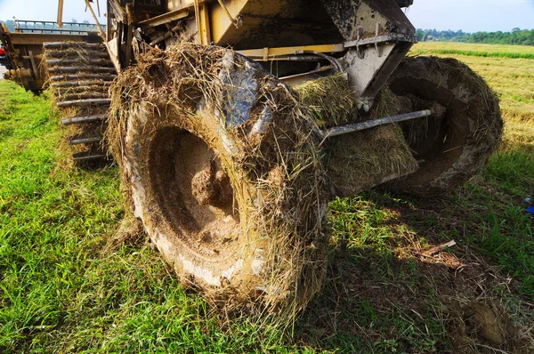 Gros plan arrière de la machine de récolte de paddy — Photo