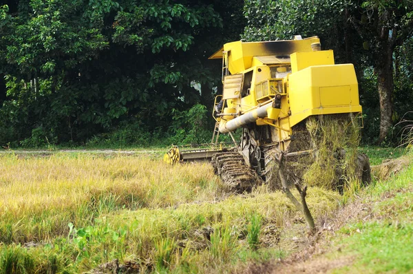 Working paddy harvest machine from back — Stock Photo, Image