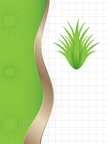 Fondo abstracto con una planta especial de aloe vera verde — Archivo Imágenes Vectoriales