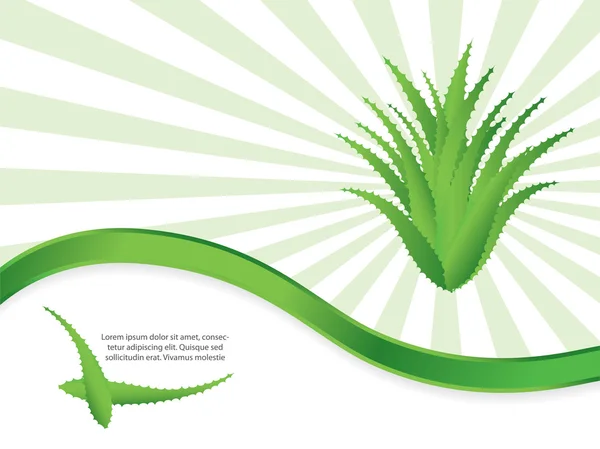 Fond vert spécial avec design aloe vera — Image vectorielle