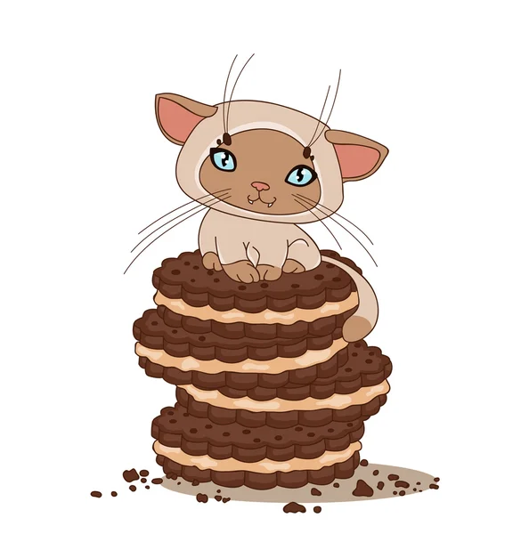 Gato siamês e um biscoito de chocolate — Vetor de Stock