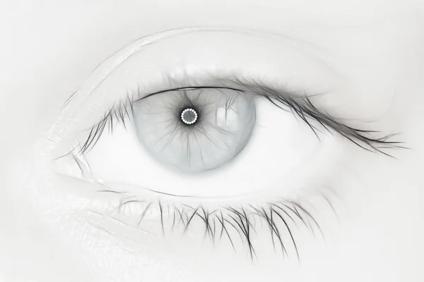 O Olho — Fotografia de Stock
