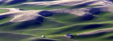 Palouse panoramik.