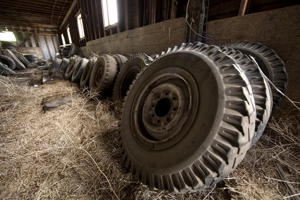 Groupe de pneus tracteurs . — Photo