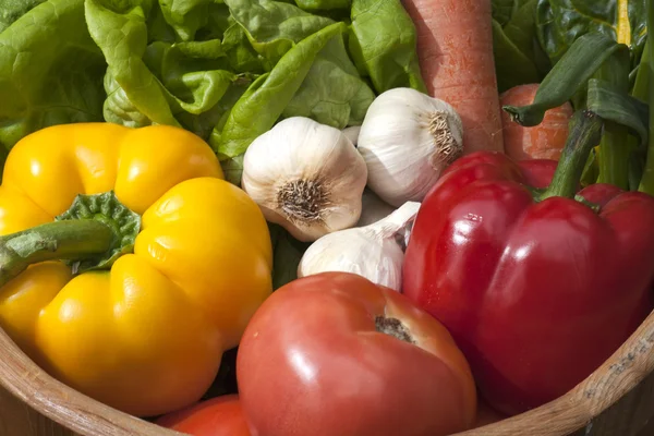 Bucket of vegetables. — Stock Photo, Image