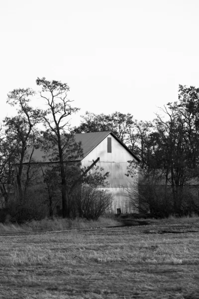 B&W of old barn. — Stock Photo, Image