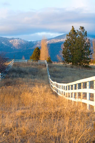 Dřevěný plot v venkovské scény. — Stock fotografie