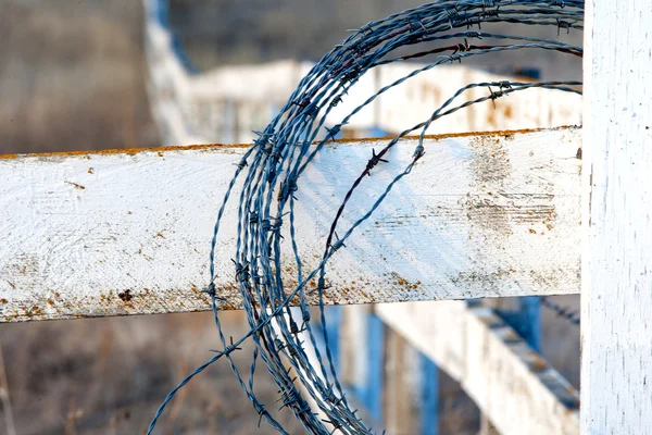 Närbild av taggtråd på staket. — Stockfoto