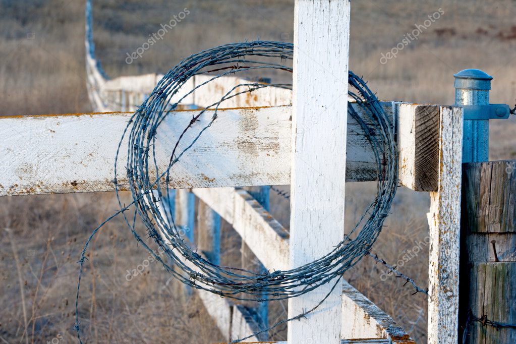 Coiled up barbed wire.