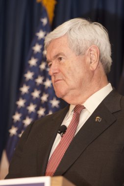 Newt gingrich politik mitingde.