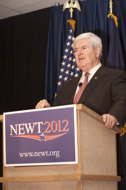 Newt gingrich politik mitingde.