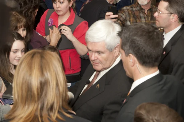 Newt Gingrich poliittisessa mielenosoituksessa . — kuvapankkivalokuva