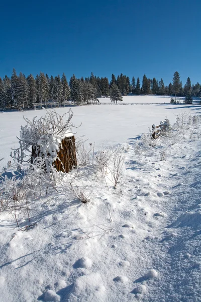Vintern natursköna. — Stockfoto
