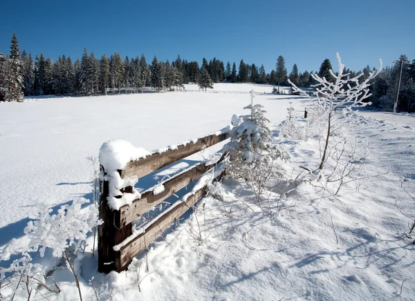 Fa kerítés egy téli napon. — Stock Fotó