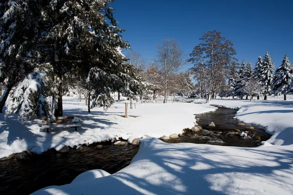 Creek atravessa o parque no inverno . — Fotografia de Stock