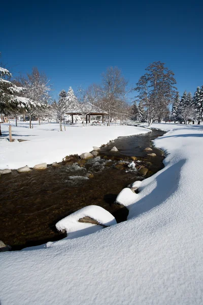 Winter scenic in a city park. — Stock Photo, Image