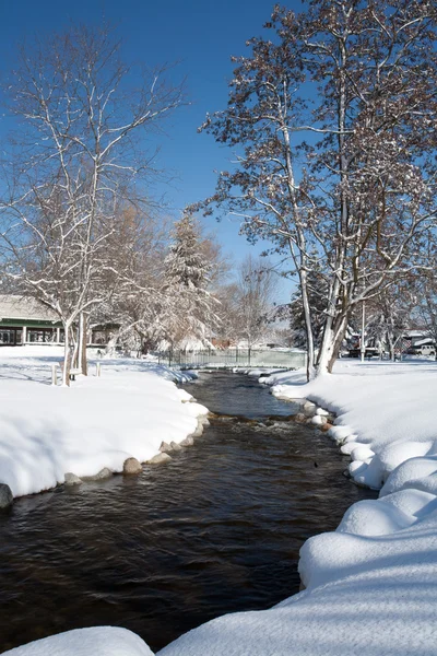 Stream in a park during winter. — Stock Photo, Image