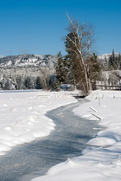Frozen creek in field. — Stock Photo, Image