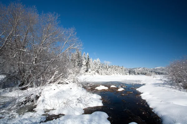 Ruisseau dans un champ neigeux . — Photo