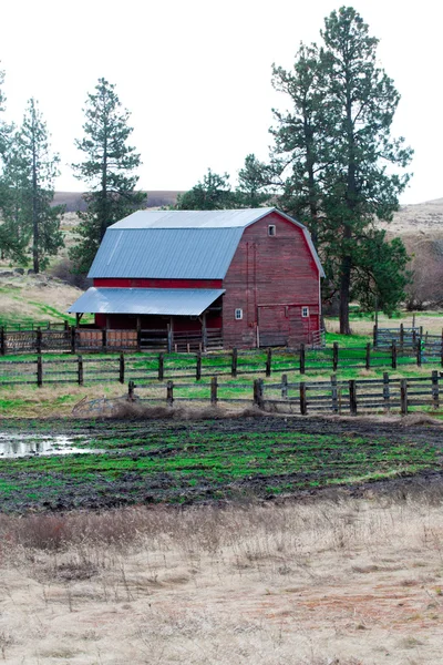 Kırsal çiftlik sahne. — Stok fotoğraf