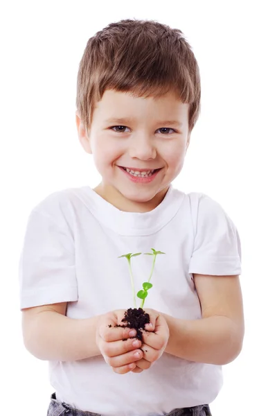 Boy with sprouts in hands — Stock Photo, Image
