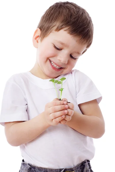 Boy with sprouts in hands — Stock Photo, Image