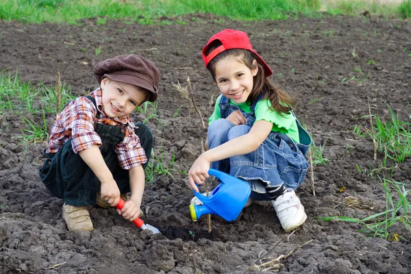 Двое детей поливают капусту — стоковое фото