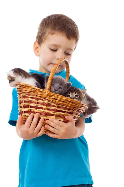 Little boy with kittens in wicker — Stock Photo, Image