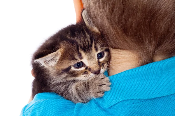 Gray kitten on boy's shoulder — Stock Photo, Image