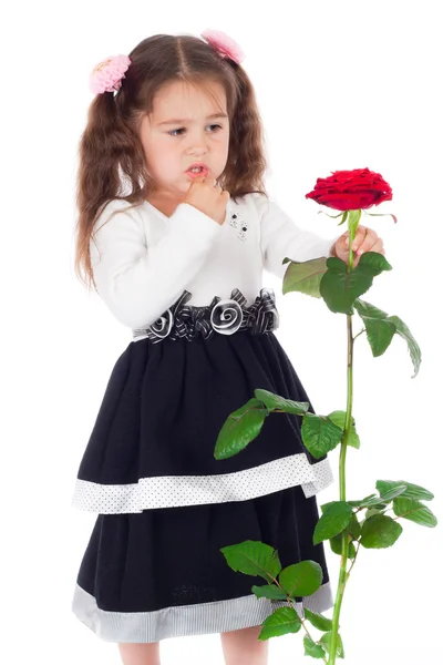 Töprengő kislány, piros rózsa — Stock Fotó
