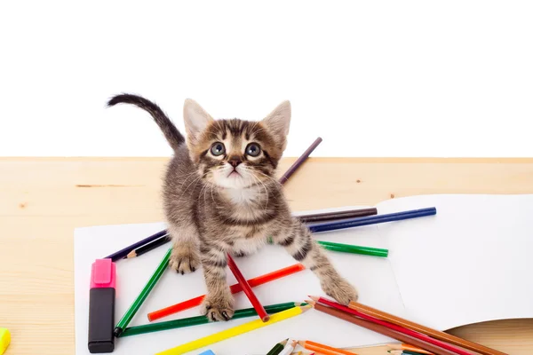 stock image Tabby kitten on table with pencils