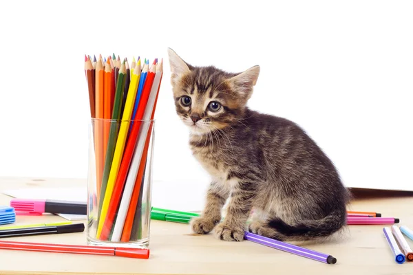 Tabby kitten on table with pencils — Stock Photo, Image