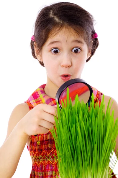 Девушка смотрит через лупу на траву — стоковое фото