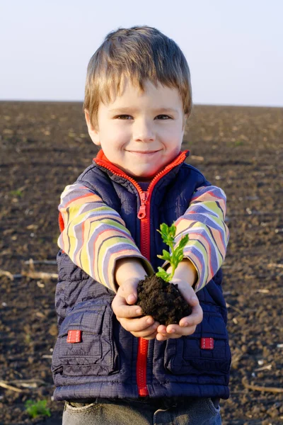 Μικρό αγόρι στο γήπεδο κρατώντας το φυτό — Φωτογραφία Αρχείου